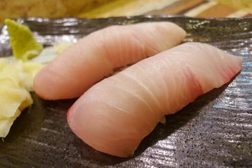 Yellowtail.